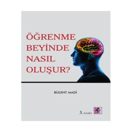 Öğrenme Beyinde Nasıl Oluşur?