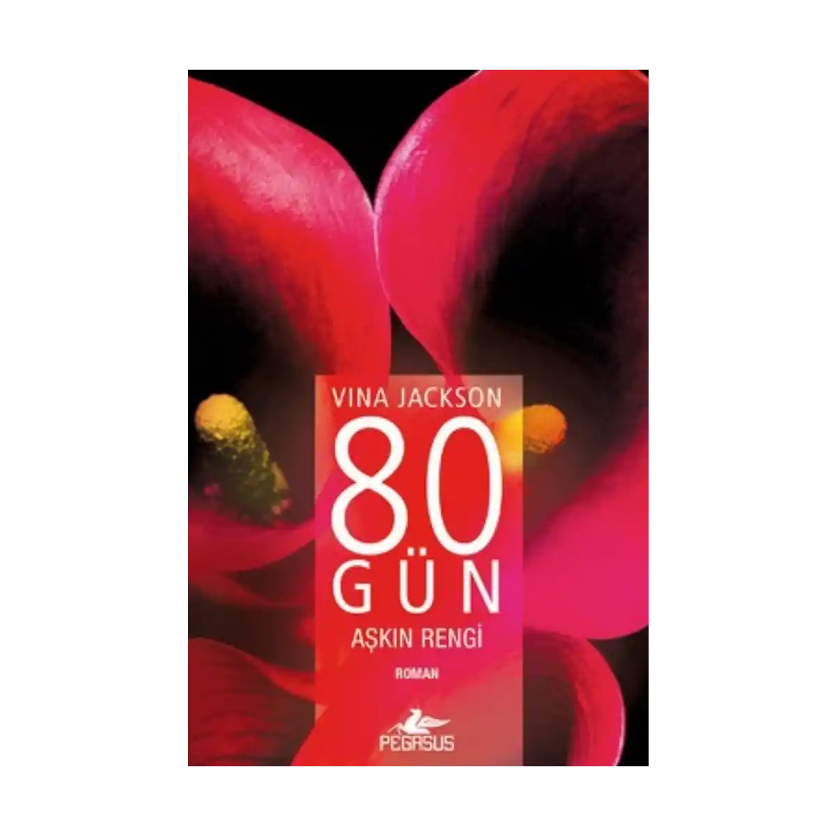 e3914-80-gun-askin-rengi-1-1.webp 80 Gün - Aşkın Rengi - Görsel 1