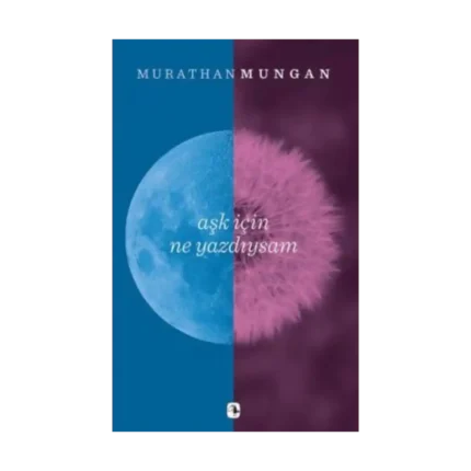 Aşk İçin Ne Yazdıysam