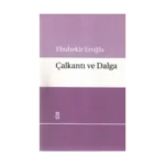 Çalkantı ve Dalga