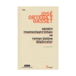 Sanatın İnsansızlaştırılması ve Roman Üstüne Düşünceler