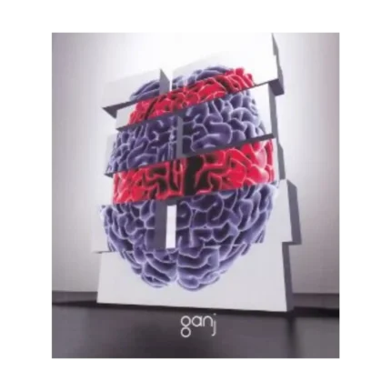 Yaşam Üzerine Yorumlamalar 2. Cilt