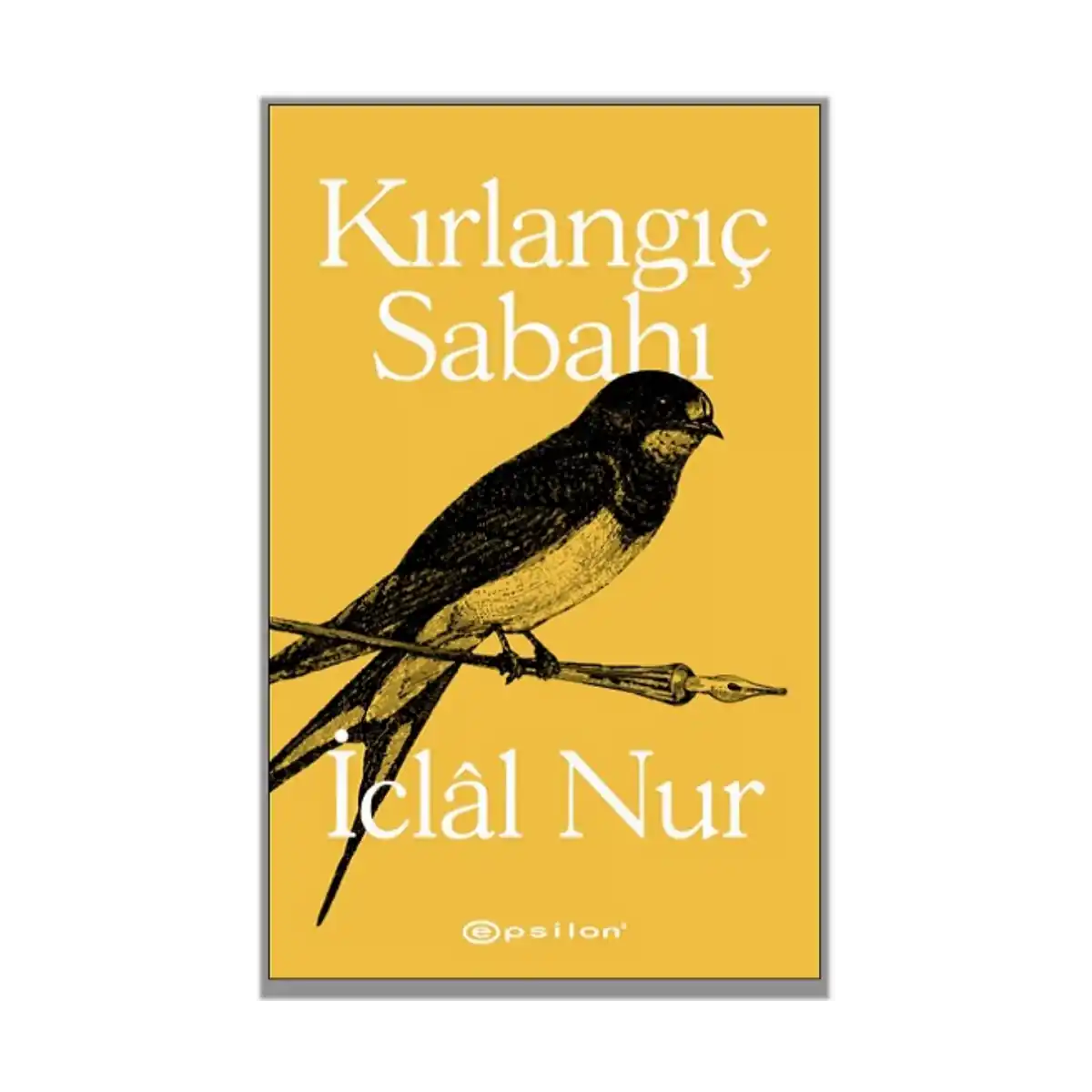 e9027-kirlangic-sabahi-1-1.webp Kırlangıç Sabahı - Görsel 1