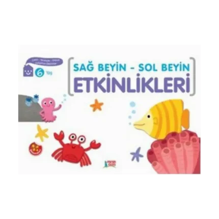 Sağ Beyin-Sol Beyin Etkinlikleri 6