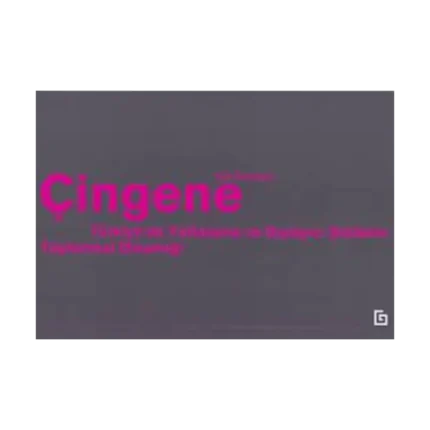 Çingene
