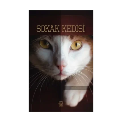 Sokak Kedisi