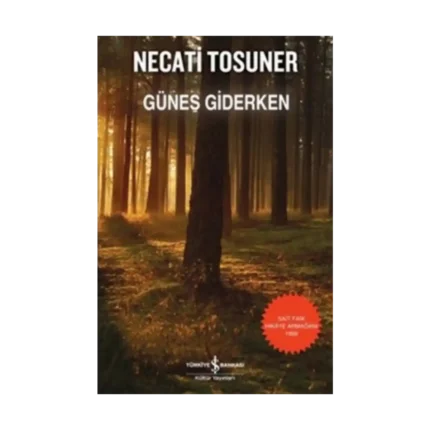 Güneş Giderken