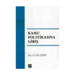 Kamu Politikasına Giriş