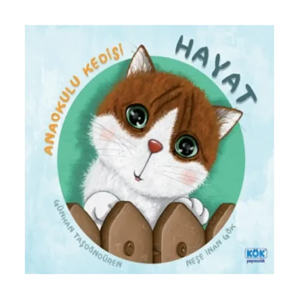 Anaokulu Kedisi Hayat