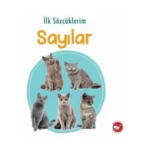 İlk Sözcüklerim - Sayılar