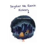 Sayılar Ne Renk Kokar