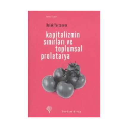 Kapitalizmin Sınırları ve Toplumsal Proletarya