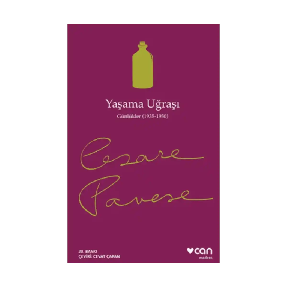 fa577-yasama-ugrasi-1-1.webp Yaşama Uğraşı - Görsel 1