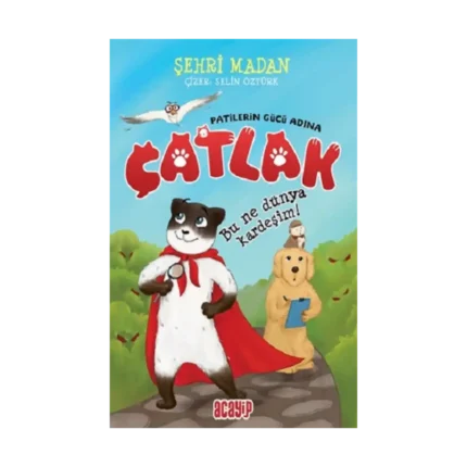Bu Ne Dünya Kardeşim! - Çatlak