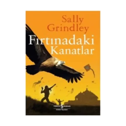 Fırtınadaki Kanatlar