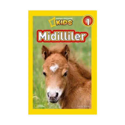 Midilliler