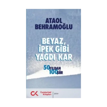 Beyaz İpek Gibi Yağdı Kar