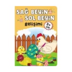 Sağ Beyin - Sol Beyin Gelişimi +3 Yaş