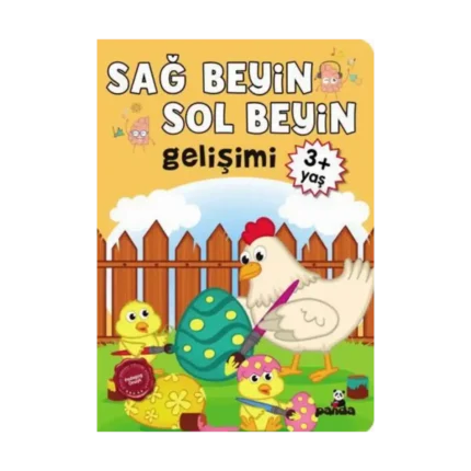 Sağ Beyin - Sol Beyin Gelişimi +3 Yaş