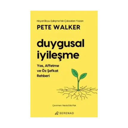 Duygusal İyileşme