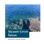 Siyaset Çevre İnsan