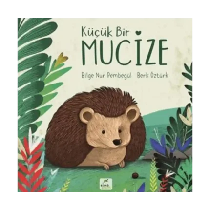 Küçük Bir Mucize
