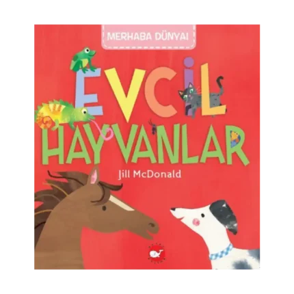 Merhaba Dünya Evcil Hayvanlar