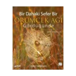 Bir Dahaki Sefer Bir Örümcek Ağı Gördüğünde