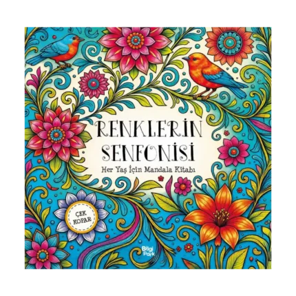 Renklerin Senfonisi Her Yaş İçin Mandala