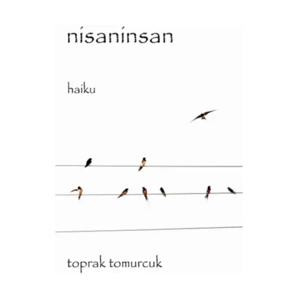 Nisaninsan