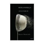 Hızlandıkça Azalıyorum