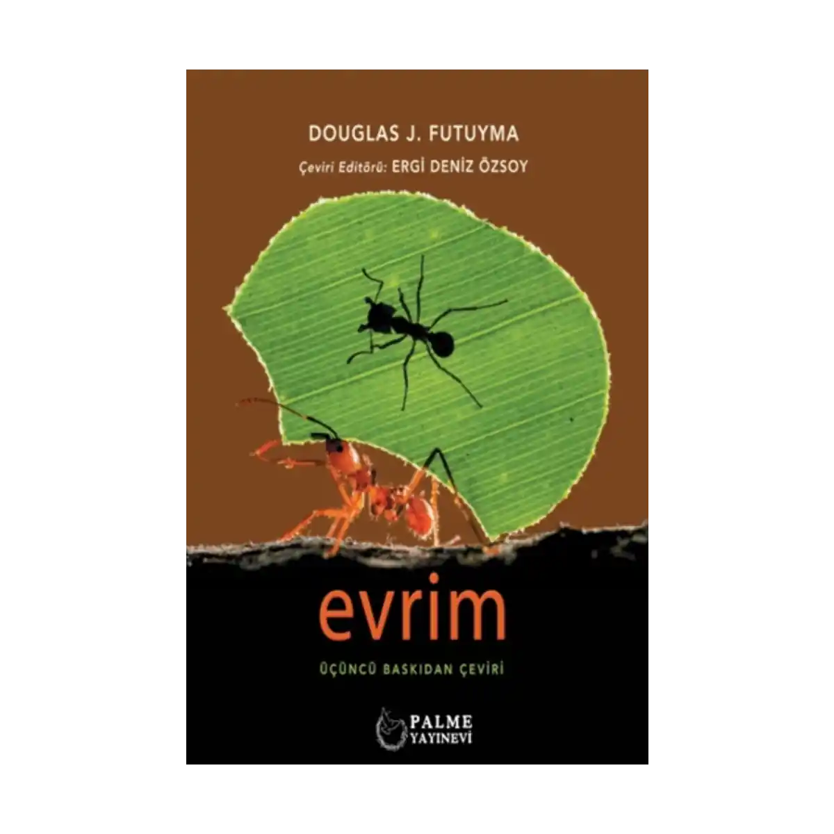 92eab-evrim-1-1.webp Evrim - Görsel 1