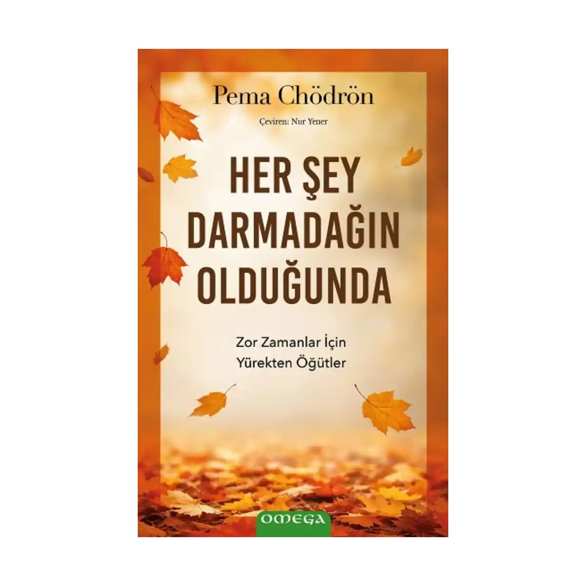 e53b5-her-sey-darmadagin-oldugunda-zor-zamanlar-icin-yurekten-ogutler-1-1.webp Her Şey Darmadağın Olduğunda;Zor Zamanlar İçin Yürekten Öğütler - Görsel 1