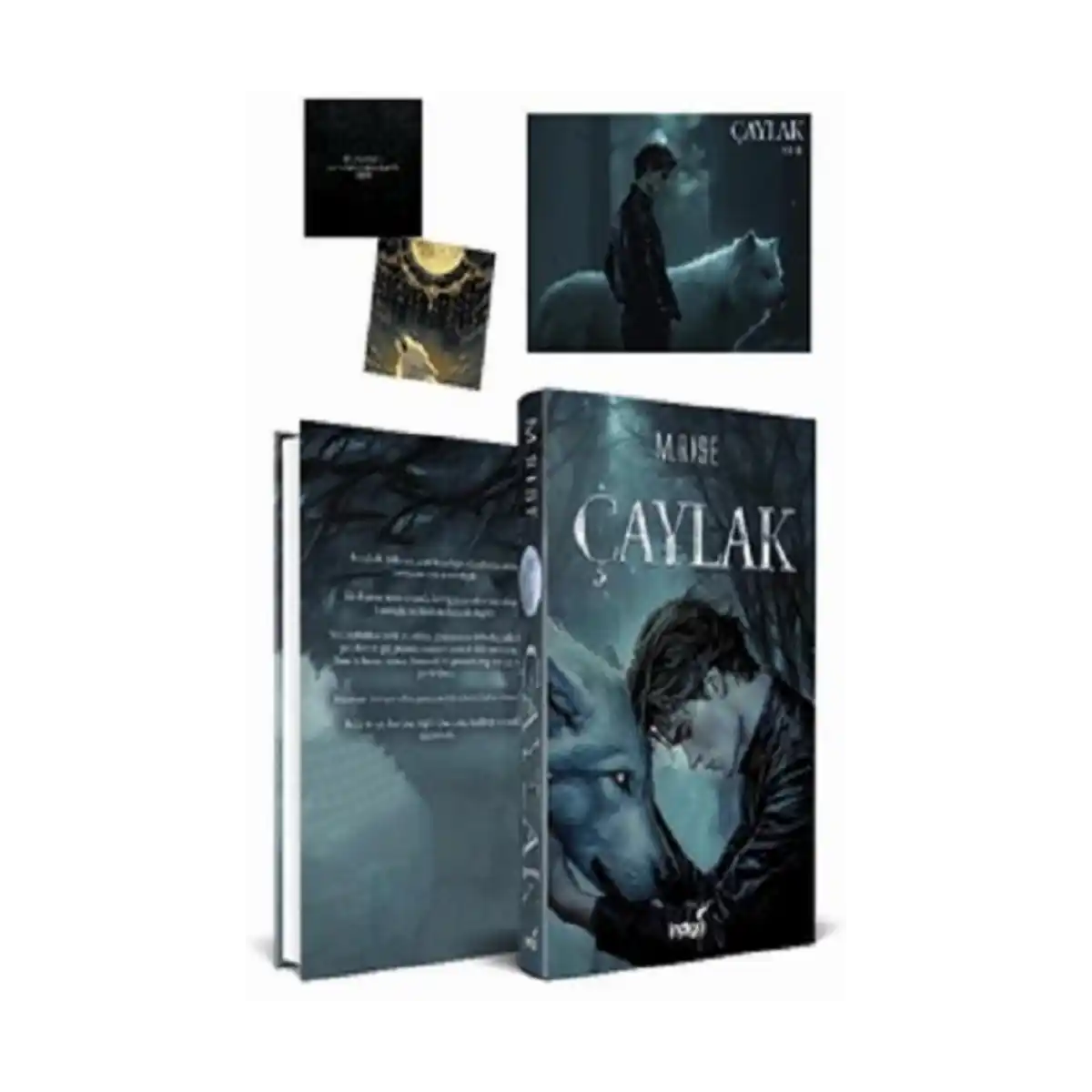 ea027-caylak-ciltli-1-1.webp Çaylak (Ciltli) - Görsel 1