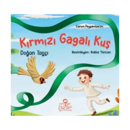 Kırmızı Gagalı Kuş