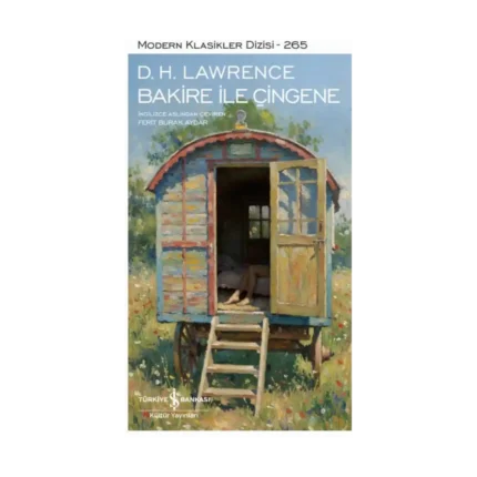 Bakire İle Çingene