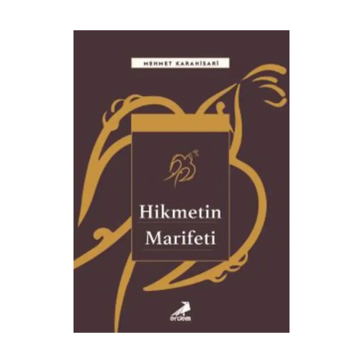 312f3-hikmetin-marifeti-1-1.webp Hikmetin Marifeti - Görsel 1