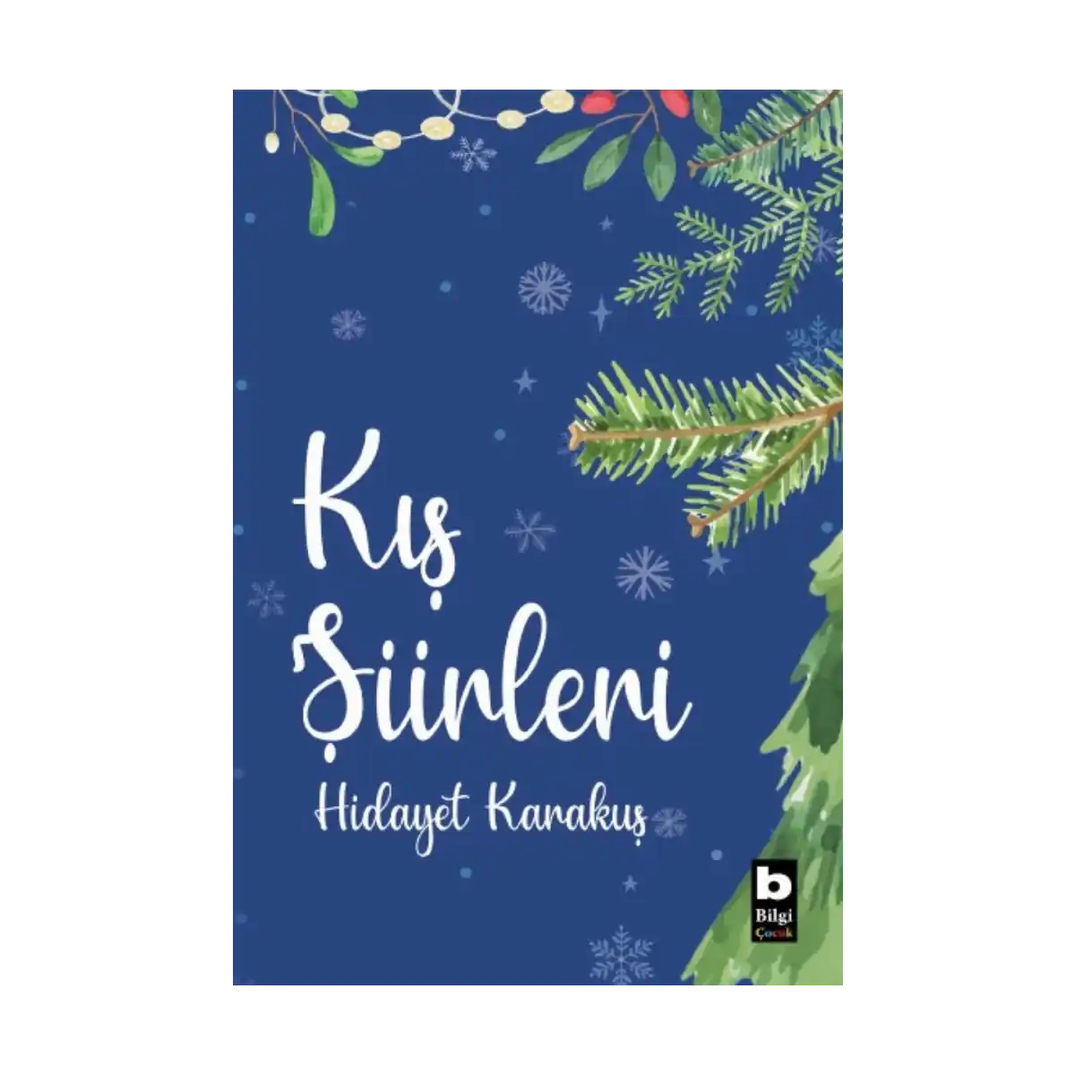 4419c-kis-siirleri-1-1.webp Kış Şiirleri - Görsel 1