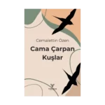 Cama Çarpan Kuşlar