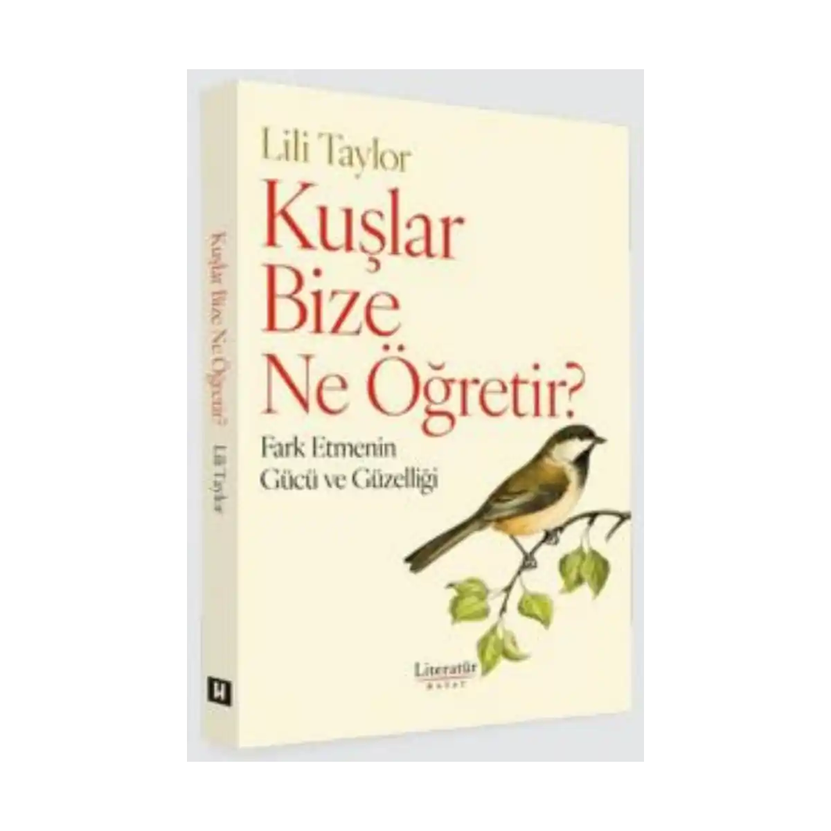 6b2a5-kuslar-bize-ne-ogretir-1-1.webp Kuşlar Bize Ne Öğretir? - Görsel 1