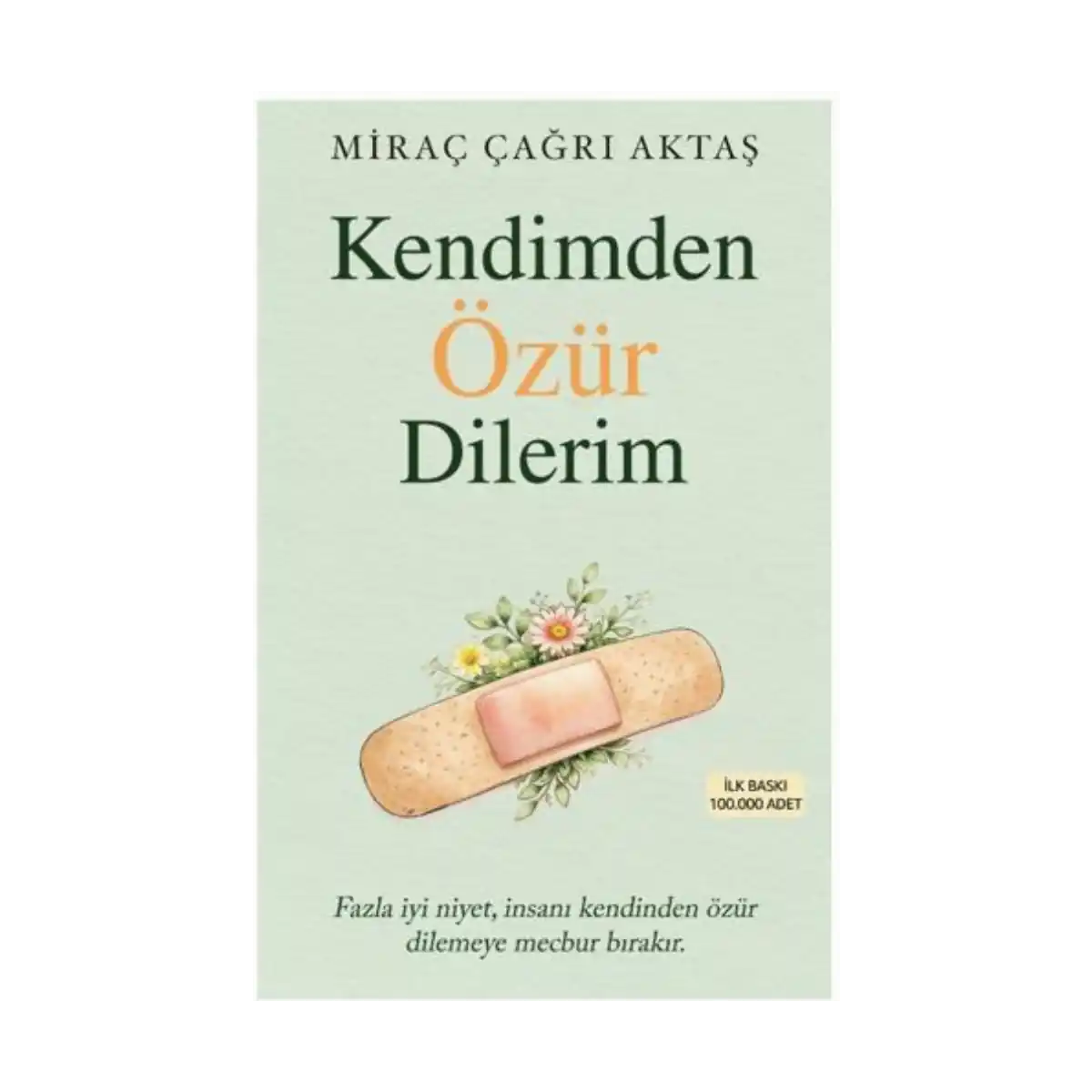 6b312-kendimden-ozur-dilerim-1-1.webp Kendimden Özür Dilerim - Görsel 1