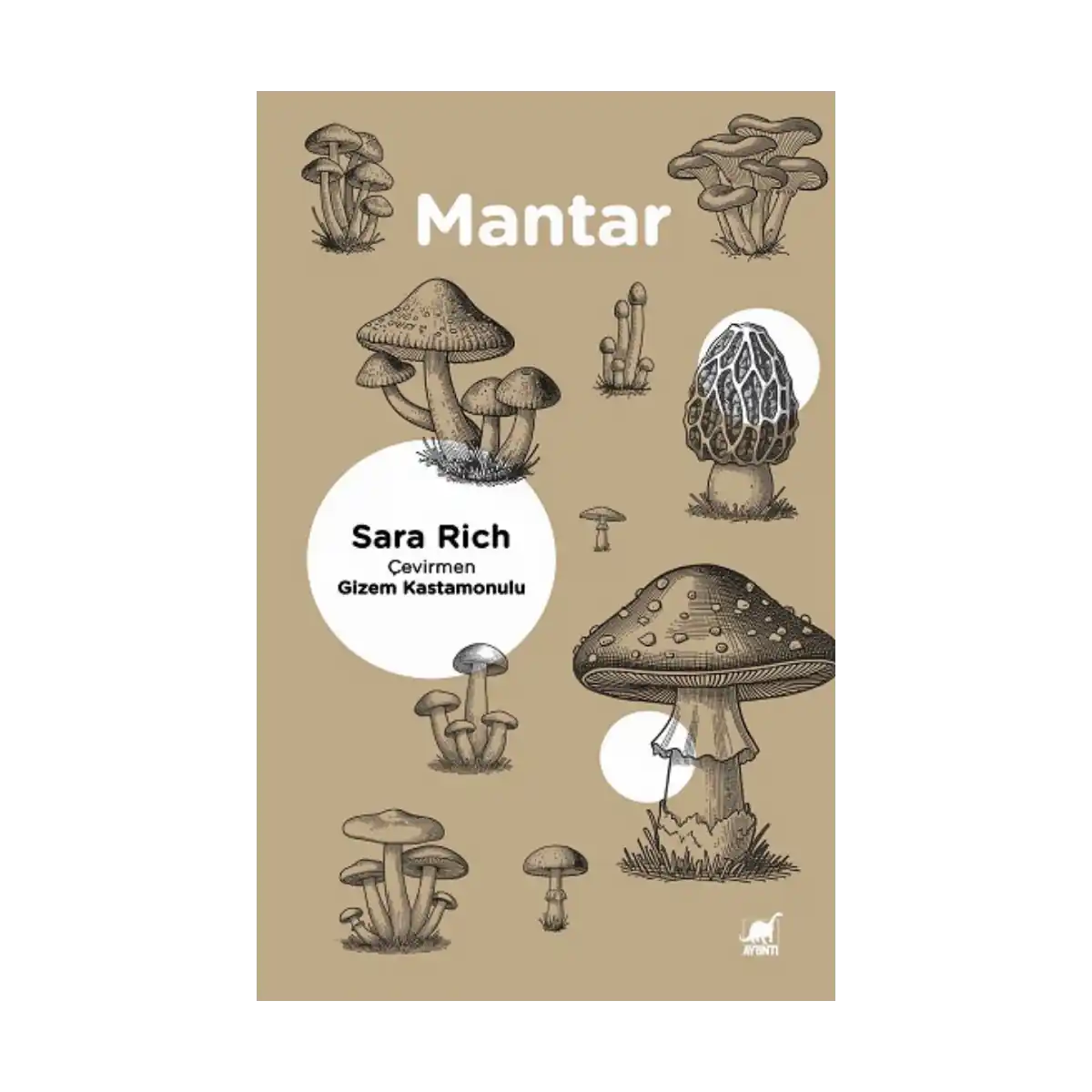 72608-mantar-1-1.webp Mantar - Görsel 1