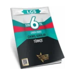 8. Sınıf Lgs Türkçe Çıkmış Sorular