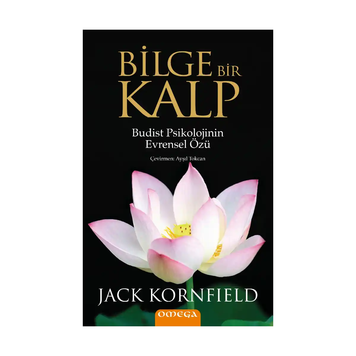 a2d74-bilge-bir-kalp-1-1.webp Bilge Bir Kalp - Görsel 1