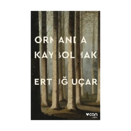 Ormanda Kaybolmak