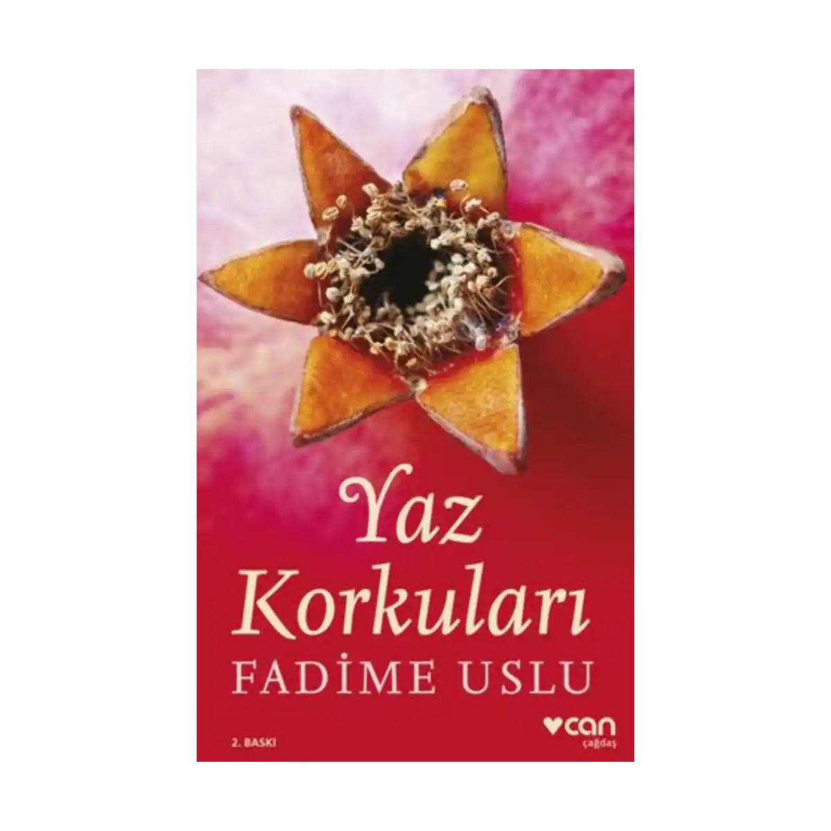 d6cde-yaz-korkulari-1-1.webp Yaz Korkuları - Görsel 1