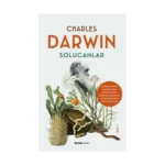 Solucanlar