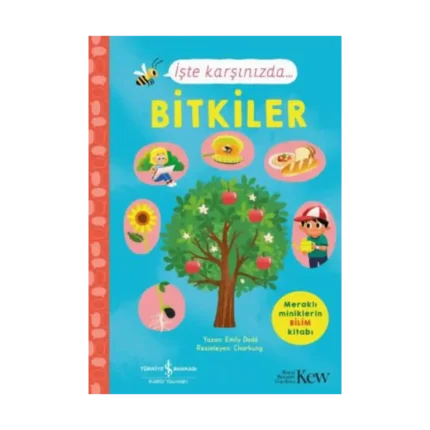 İşte Karşınızda...Bitkiler
