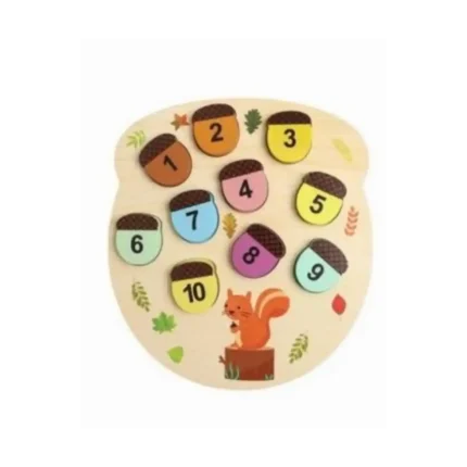 Montessorı Sincap Bultak-Aklımda Zeka Oyunları