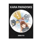 Kara Paradoks (Karton Kapak)